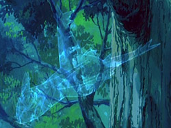 external image lati_invisible.jpg external image lati_invisible.jpg